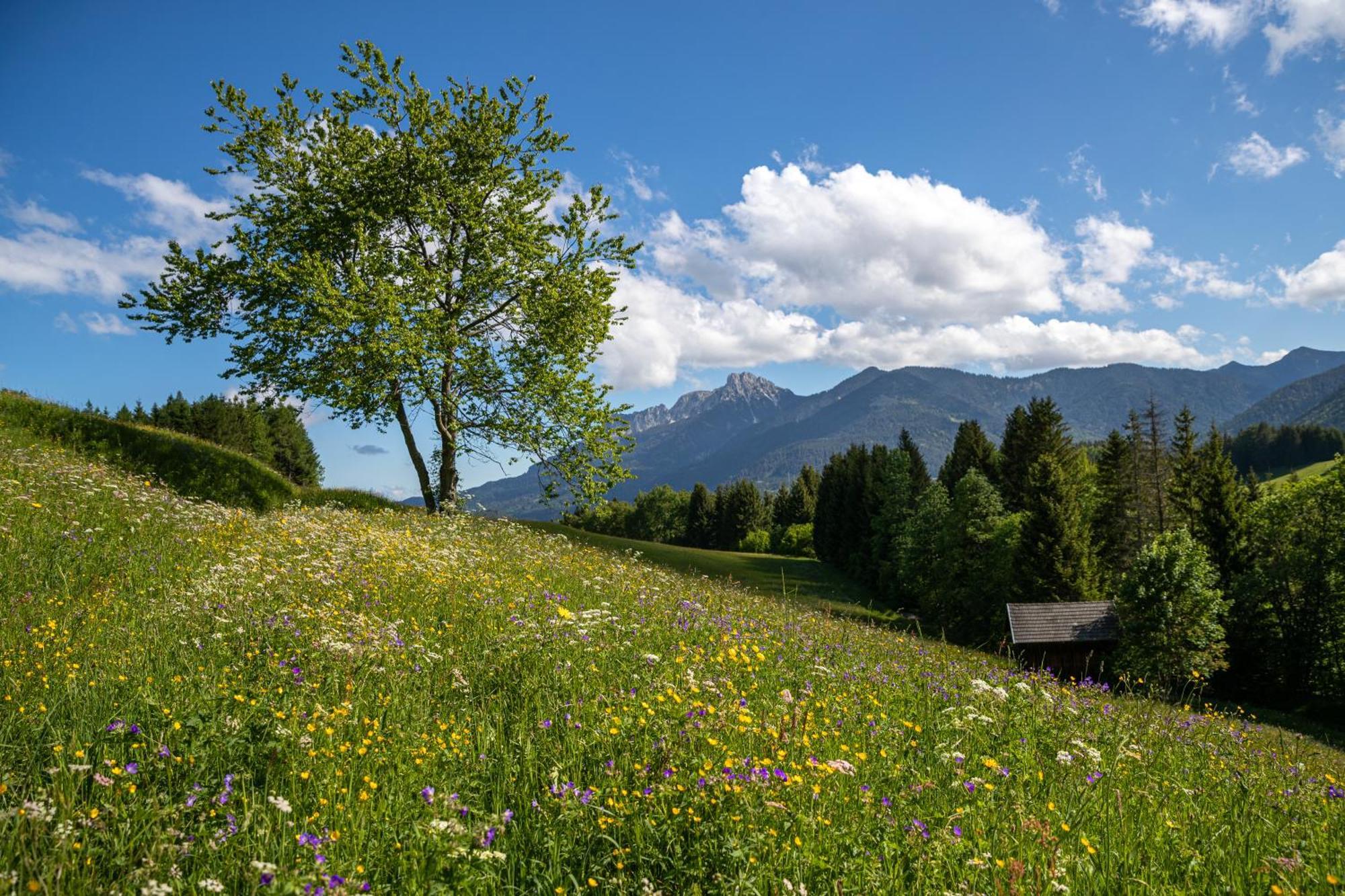 Hotel Krone Tirol Reutte Εξωτερικό φωτογραφία